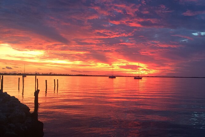 1.5 Hour Bay Side Key Largo Sunset Cruise on a Spacious Catamaran - Dolphins and Wildlife: A Lucky Bonus