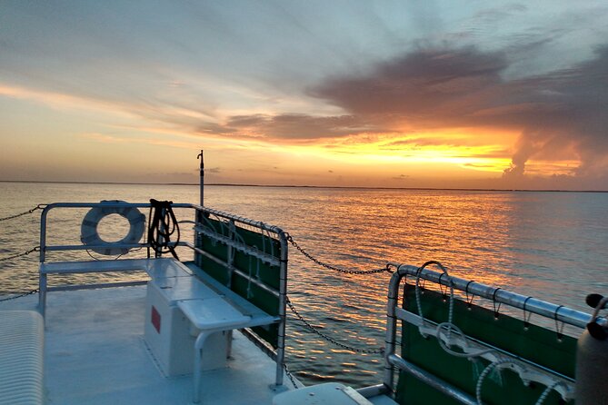 1.5 Hour Bay Side Key Largo Sunset Cruise on a Spacious Catamaran - What the Bay Ride Is Really Like