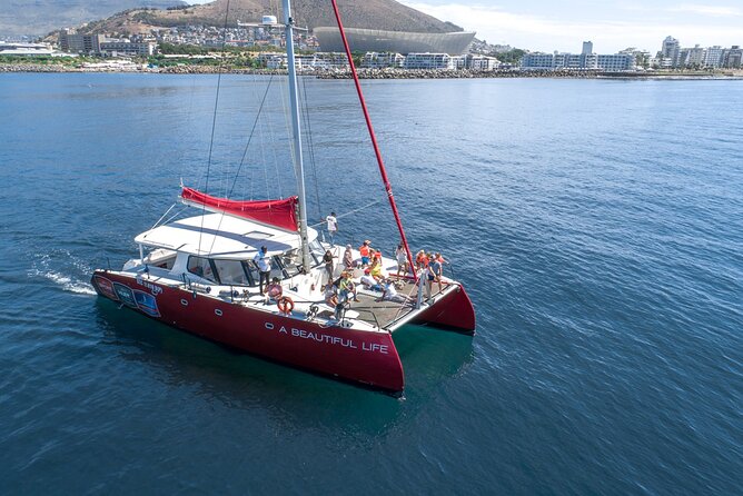 1- Hour Catamaran Cruise Cape Town - Across Table Bay toward Clifton Beach