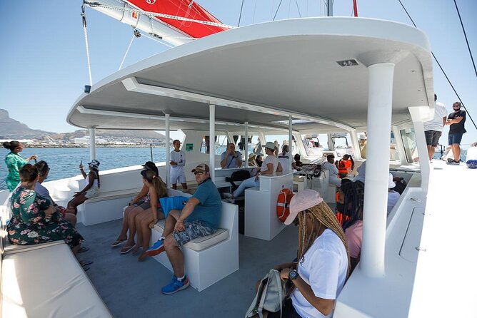1- Hour Catamaran Cruise Cape Town - Boat changes, delays, and the details that matter