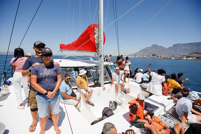 1- Hour Catamaran Cruise Cape Town - The first views: Table Mountain and the working harbor