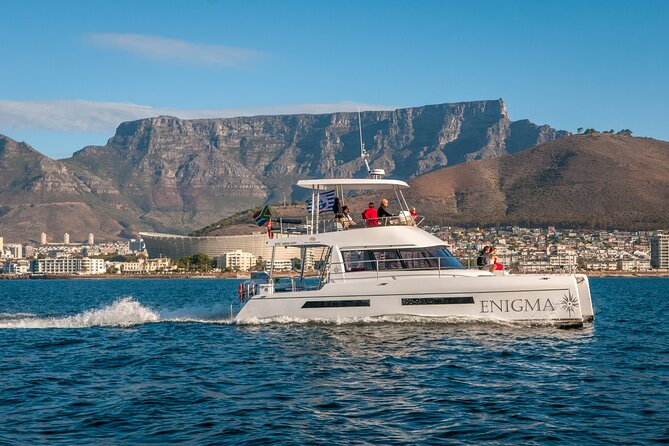 1 Hour Coastal Catamaran Cruise from Cape Town - Sailing toward Green Point lighthouse