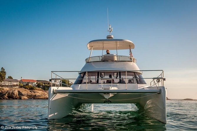 1 Hour Coastal Catamaran Cruise from Cape Town - What the $21.28 price really buys you