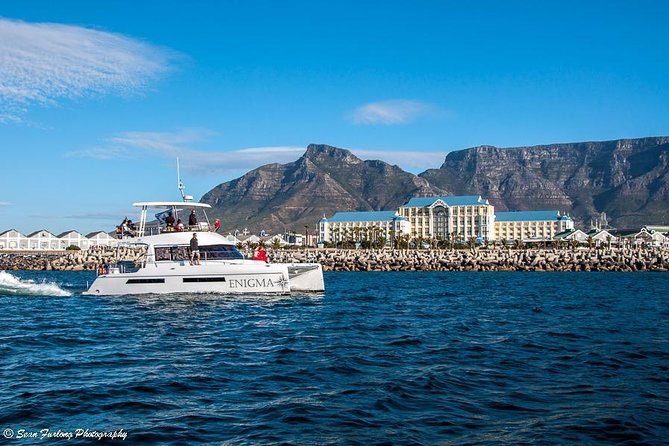 1 Hour Coastal Catamaran Cruise from Cape Town - Morning, afternoon, or a golden-hour departure