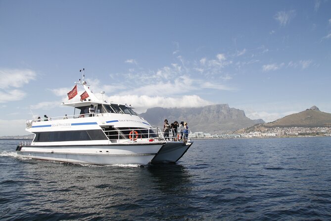 1 Hour Coastal Catamaran Cruise from Cape Town - Starting at Shop 5 in the V&A Waterfront