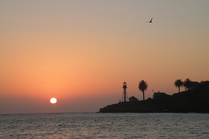 2.5-Hour Small-Group Catamaran Sunset Sail with Drinks - Wildlife sightings around the bay