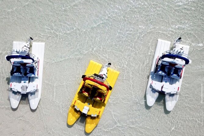 2 Hour Key West Mini Catamaran Eco Tour - The essential details at a glance