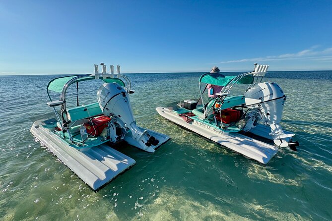 2 Hour Key West Mini Catamaran Eco Tour - Second 30 minutes: sandbar time