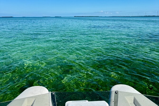 2 Hour Key West Mini Catamaran Eco Tour - Final 30 minutes: wildlife and open-water riding