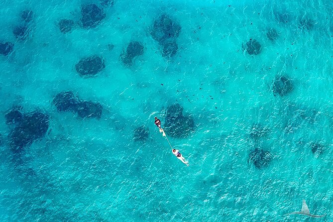 2hr Luxury Private Sailing Catamaran for 7-12 People - Who will enjoy this most
