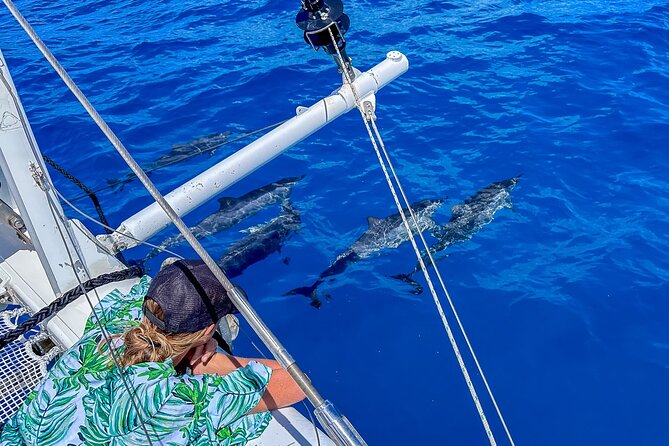 2hr Luxury Private Sailing Catamaran in Waikiki for 1-6 People - Price, timing, and who gets the best value