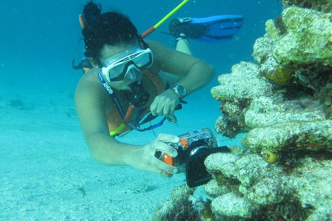3 ADVENTURES: Sailing Catamaran Cruise - Hooka Diving - Snorkeling - Drinks, dancing, and the social side