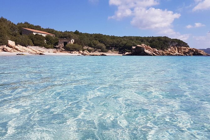 3-Catamaran from Cannigione to the islands of the Archipelago - Budelli’s Pink Beach from the water