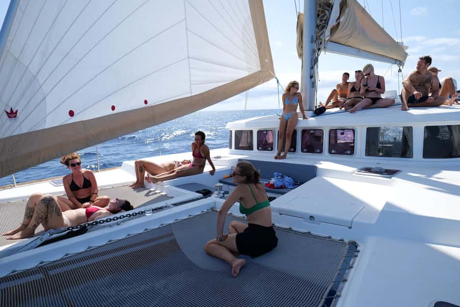 3-hour Catamaran Adventure on the waters of Sal Island - Wildlife depends on luck and sea conditions