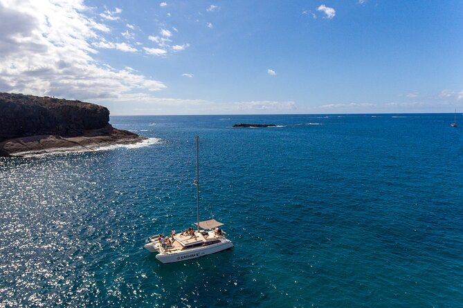 3-hour catamaran excursion along the Costa Adeje - Setting out from Puerto Colón in Costa Adeje