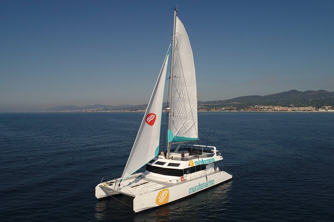 3-Hours Catamaran Tour in Malaga with Paella - Who should book this catamaran trip?