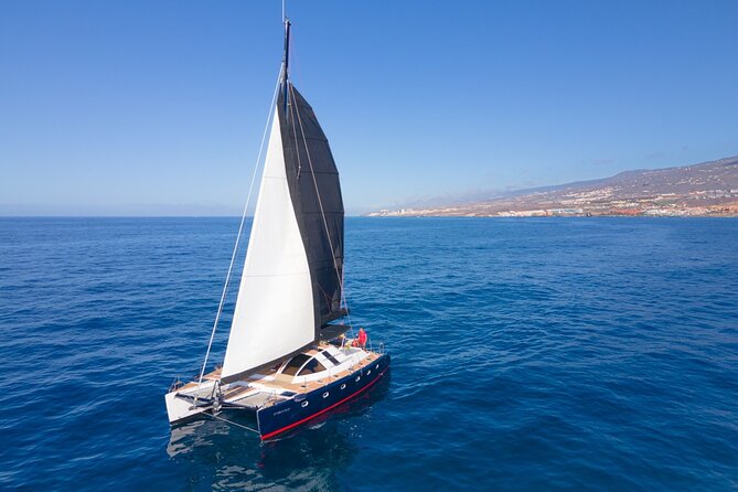 3 hrs. Whale Watching and Relaxing Chill Out Catamaran with glass floor - Leaving Puerto Colón for the open water