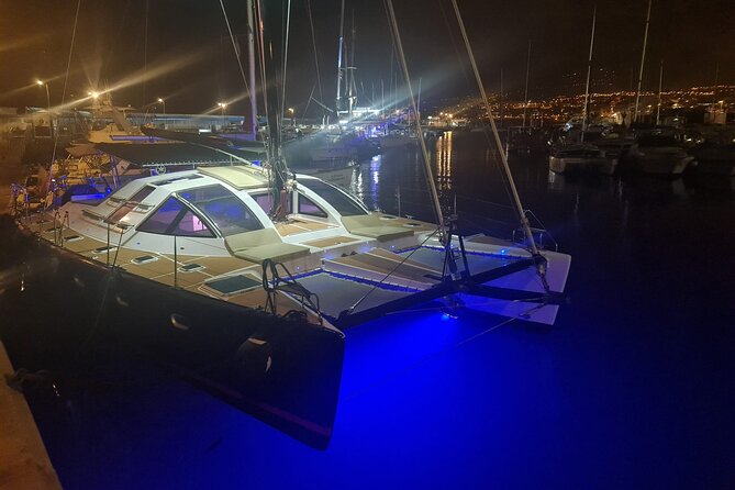 3 hrs. Whale Watching and Relaxing Chill Out Catamaran with glass floor - Returning along Tenerife’s west coast