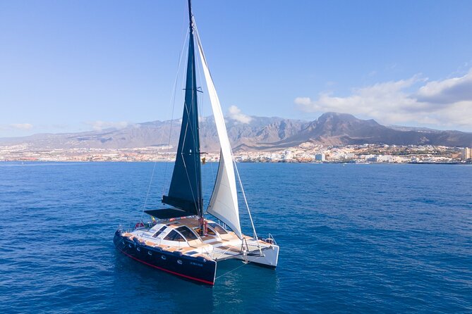 3 hrs. Whale Watching and Relaxing Chill Out Catamaran with glass floor - Booking details that can save trouble