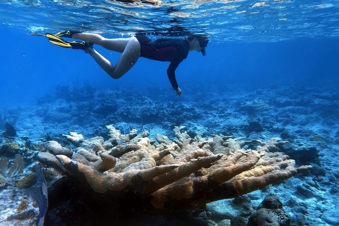 4 Days, 3 Nights Sailing Catamaran Experience in the Exumas, Bahamas - Day two: reefs, sandbars, and quiet water