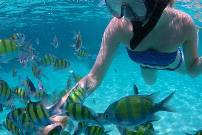 4-Hour Catamaran Sail and Snorkel Tour from Grace Bay - Choosing between Half Moon Bay and Little Water Cay