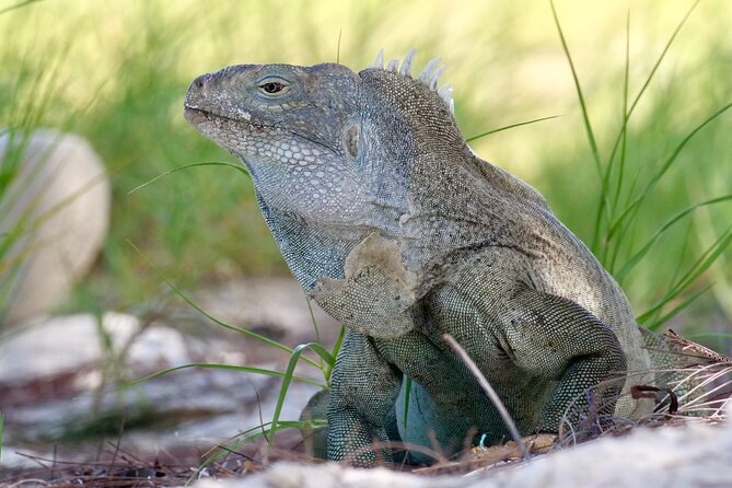 4 Hour Private Catamaran Sail and Snorkel from Grace Bay Beach, Providenciales - How the four hours usually feel