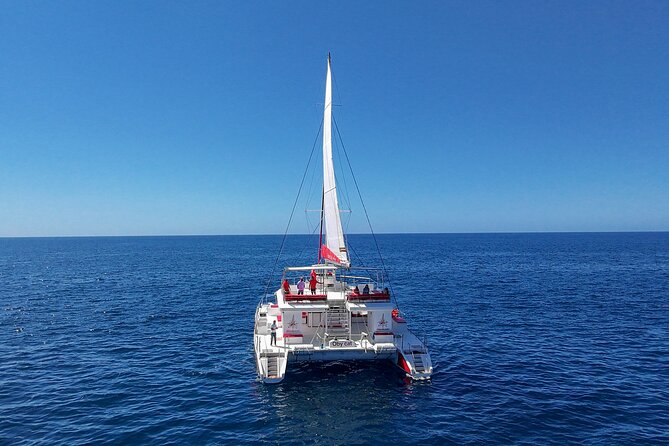 4-Hour Trip on Luxurious Catamaran from Puerto Rico - Is $82.82 good value?