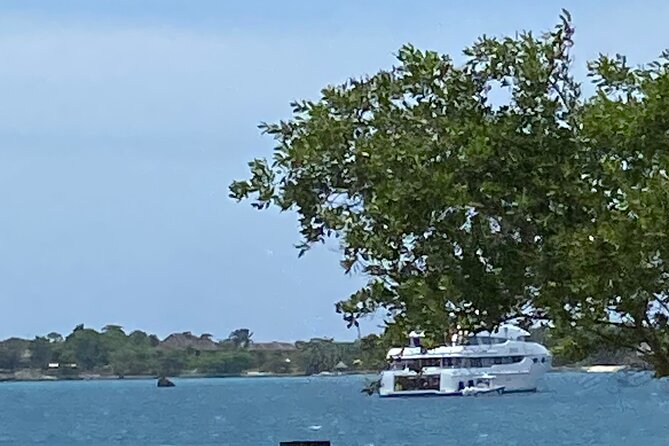 4 Hours Party Boat Catamaran Cruise in Negril - Is $190 a fair price?