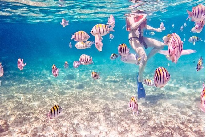 4H Luxury 44' Catamaran All-Inclusive in Tulum & Playa del Carmen - The hour-long cruise toward In-Ha reef