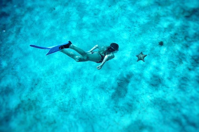5-Hour Small-Group Catamaran Cruise from Bridgetown with Lunch - Lunch, Drinks, and the Service Style