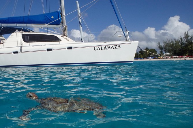 5-Hour Small-Group Catamaran Cruise from Bridgetown with Lunch - Boarding, Breakfast, and Settling Into the Day