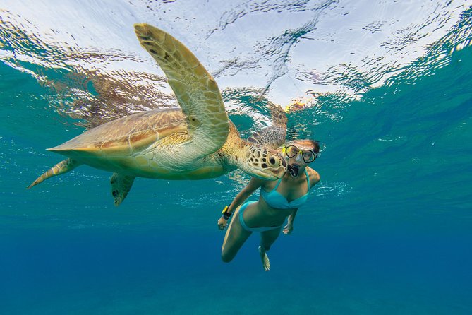 50' Luxury Yacht. Private Full or Half Day Catamaran Snorkel, & Beach Experience - The Snorkeling: What You May See