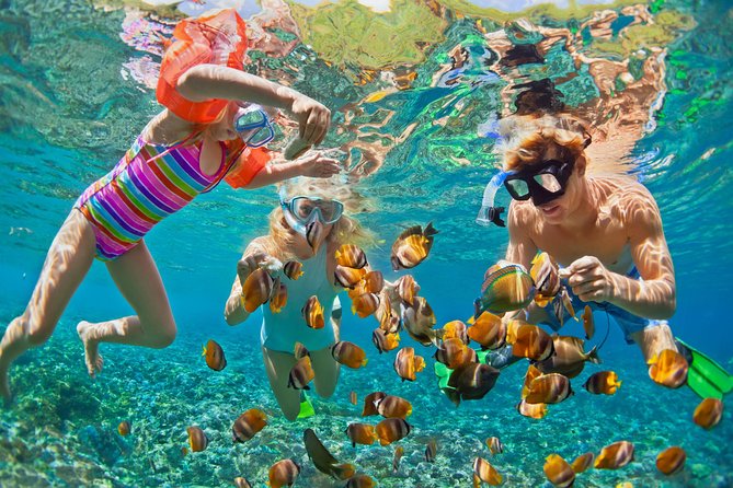 50' Luxury Yacht. Private Full or Half Day Catamaran Snorkel, & Beach Experience - What the Yacht Feels Like Underway
