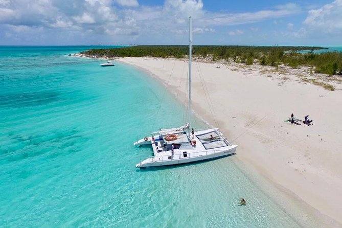 7 Hour Private Catamaran Sail, Snorkel and Beach BBQ Grace Bay, Providenciales - Meeting Sandy and Rocky, the native rock iguanas