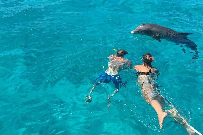 7 Hour Private Catamaran Sail, Snorkel and Beach BBQ Grace Bay, Providenciales - Snorkeling the barrier reef off Grace Bay