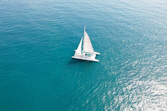 A day at Sea aboard Mundo Marino Catamaran in Valencia - The Port Saplaya swim stop