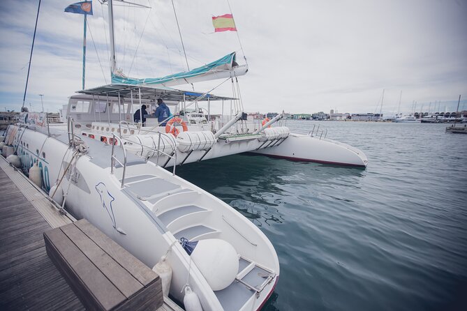 A day at Sea aboard Mundo Marino Catamaran in Valencia - Paella, salad, dessert, and drinks