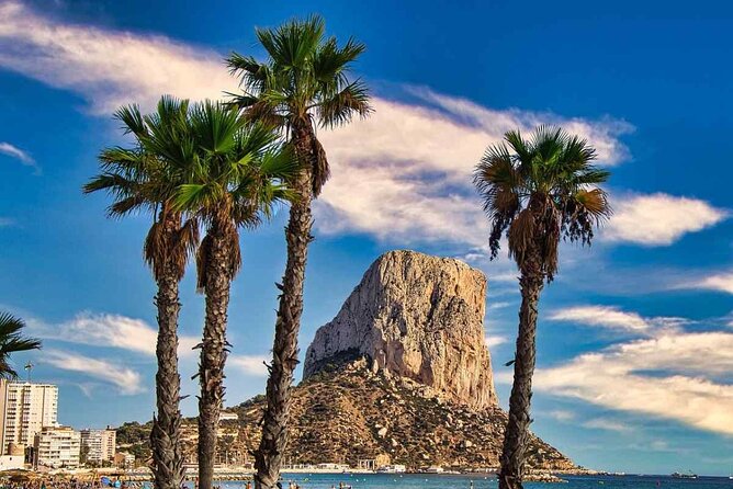 A Day at Sea by Catamaran from Calpe or Altea with Paella - Paella lunch with a simple menu
