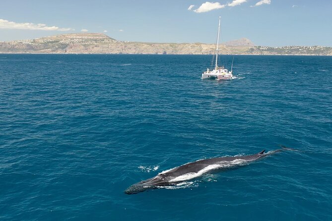 A day at sea from Dénia or Jávea with Barbecue aboard the Catamaran - Booking advice and weather rules