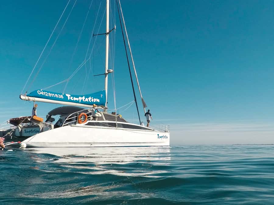 Adelaide: Glenelg Twilight Catamaran Cruise with Drink - Marina Pier gives you an easy evening start