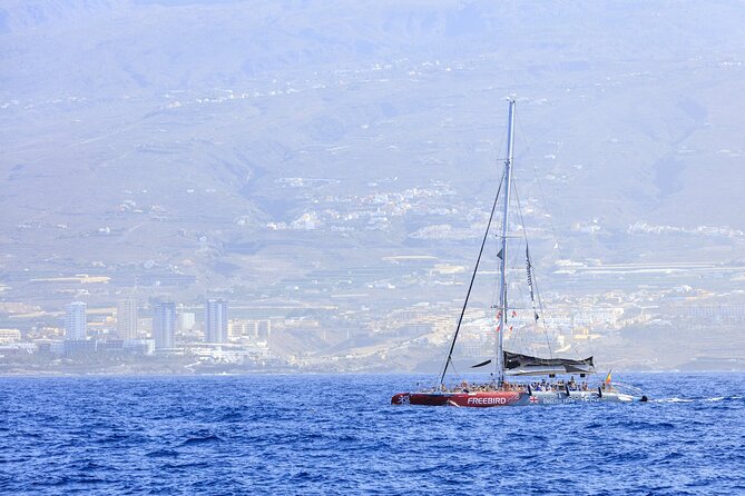 Adults Only Tenerife Freebird Whale Dolphin Catamaran with Lunch - The adults-only atmosphere