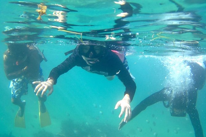 ADVENTURE PACKAGE: Buggy OffRoad Experience & Catamaran Cruise with Snorkeling - Riding through tropical gardens and rural roads
