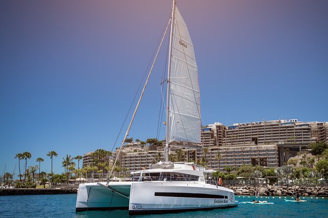 Afternoon Catamaran Trip in Gran Canaria - Key points at a glance
