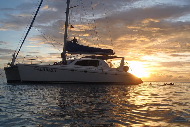 Afternoon Luxury Catamaran Sailing and Charter Cruise from Bridgetown - Key points to know before you book