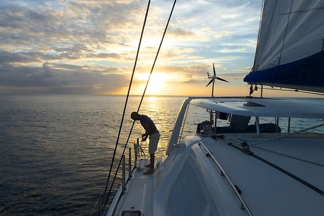 Afternoon Luxury Catamaran Sailing and Charter Cruise from Bridgetown - Boarding, pickup, and the small-group setup