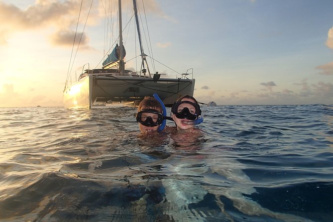 Afternoon Luxury Catamaran Sailing and Charter Cruise from Bridgetown - The turtle stop in Carlyle Bay