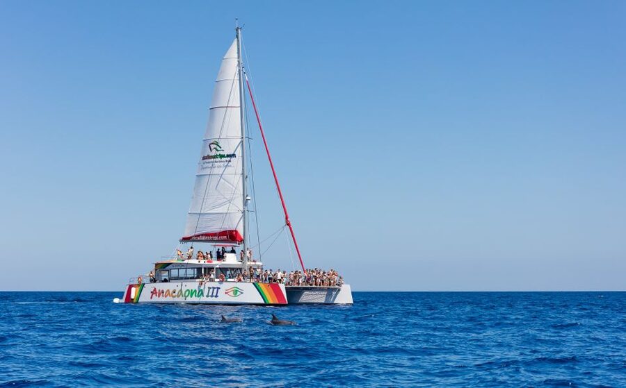 Alcudia: Sunset Catamaran Tour with Dinner and Snorkeling - Dinner on board, with a simple Mediterranean-style menu