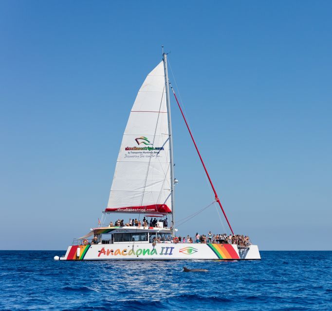 Alcudia: Sunset Catamaran Tour with Dinner and Snorkeling - Practical preparation for a smoother evening