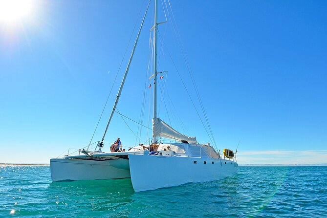 All-Inclusive catamaran Espiritu Santo Island Tour from Los Cabos - Arriving by snorkel boat