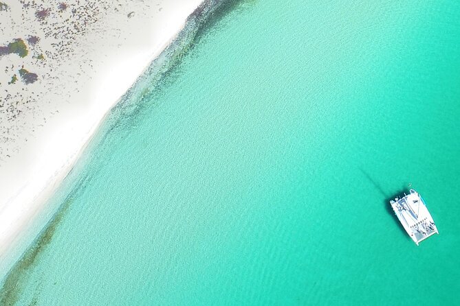 All-Inclusive catamaran Espiritu Santo Island Tour from Los Cabos - Choosing between snorkeling, paddling, and staying aboard